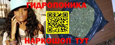 шишки Моздок