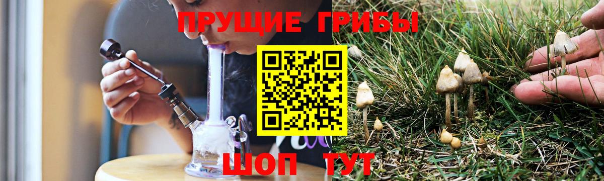 Псилоцибиновые грибы прущие грибы  Вход с VPN  Горячий Ключ 